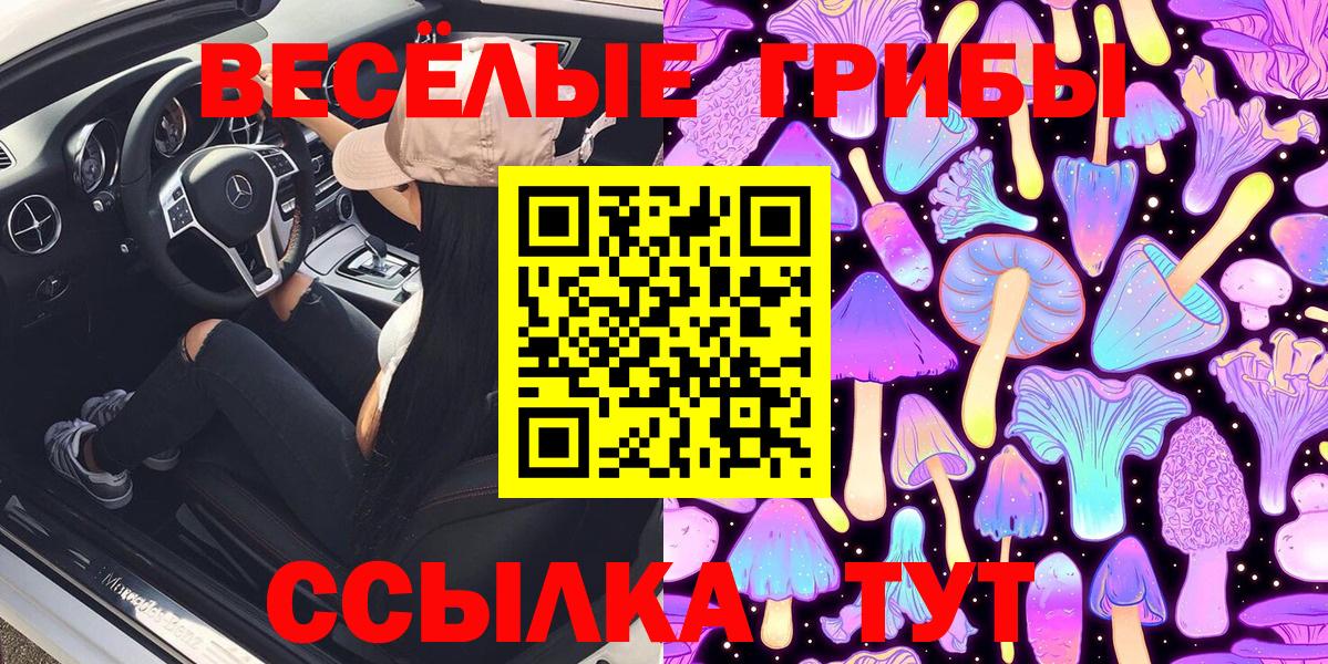 Псилоцибиновые грибы Psilocybine cubensis  Вход с VPN  Отрадный 