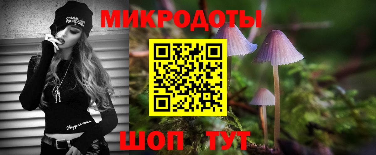 Галлюциногенные грибы Psilocybe Отрадный